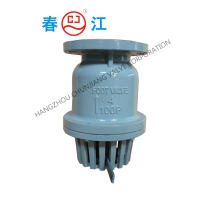 Industrial Cast Iron Full Flow Foot Valve (JIS-10K)